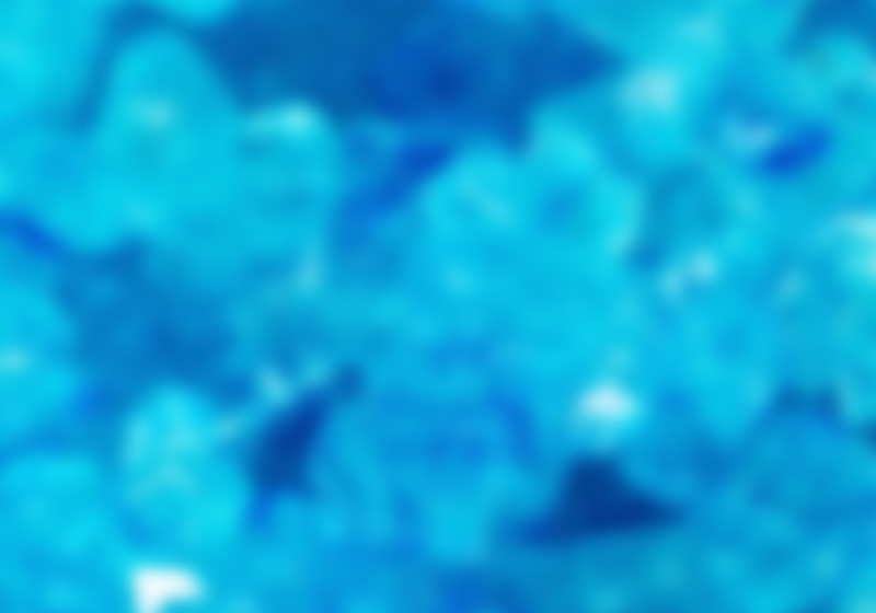 [Background picture]